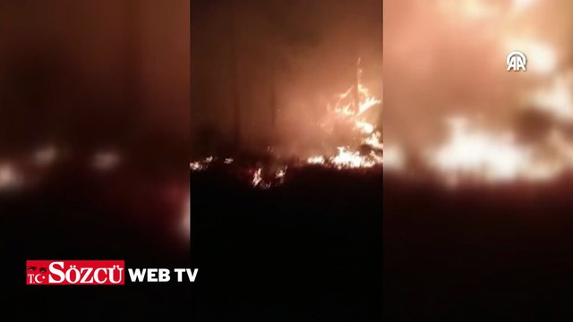 Muğla Yatağan'da orman yangını