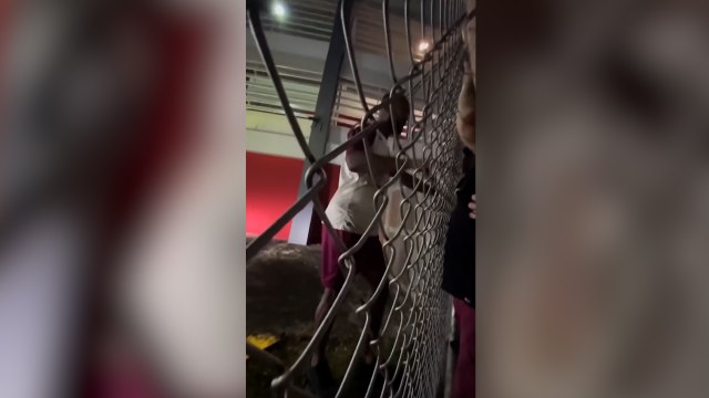 td7-aficionados del Saprissa piden explicaciones a los jugadores-200825