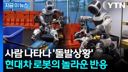 인간이 작업 방해하자 '세상에'...현대차 로봇의 놀라운 발전 [지금이뉴스] / YTN