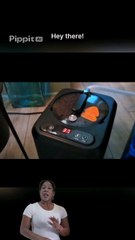 Portable Home Sauna Box with Steam Generator & Remote Control – Full Body Spa Tent | Wiloria