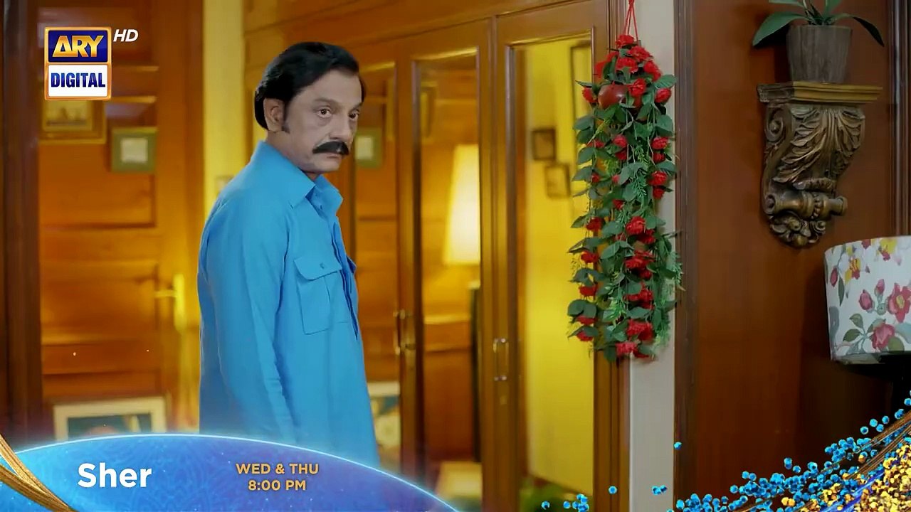 Sher Episode 27 - Promo - Danish Taimoor - Sarah Khan - ARY Digital Drama