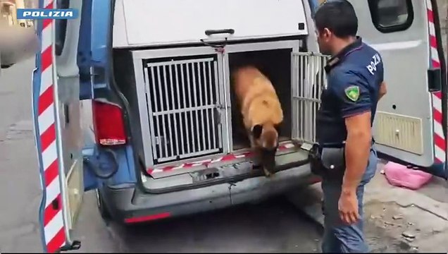 Viveva col figlio di un anno in una casa imbottita di droga pronta per lo spaccio: 21enne di Messina arrestata a Catania