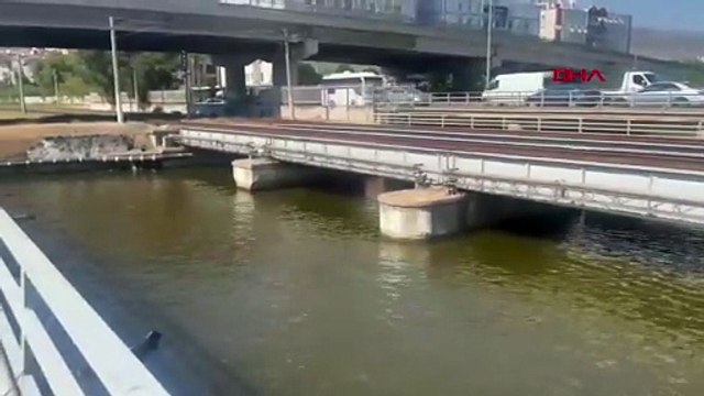 İzmir Körfezi'ndeki mide bulandıran görüntünün ve kokunun nedeni belli oldu