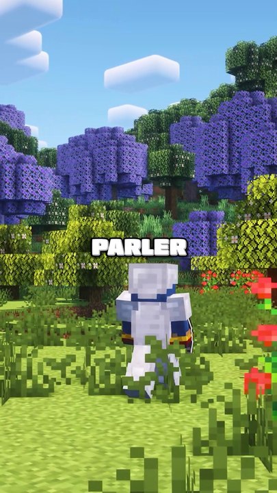 Tu connais ces blocs sur Minecraft ? 🤔