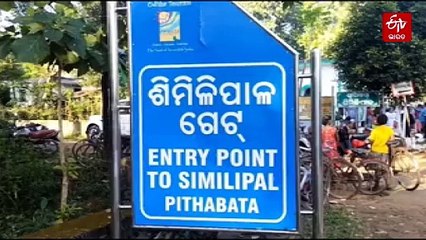 ୩ ମାସର ଗର୍ଭବତୀ ବାଘୁଣୀ ଜୀନତ, 24 ଘଣ୍ଟା ନଜର ରଖିଛି ବନ ବିଭାଗ