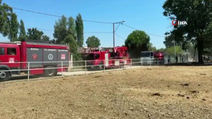 Bursa'da hayvan damı yandı: 1 at, 2 keçi telef oldu