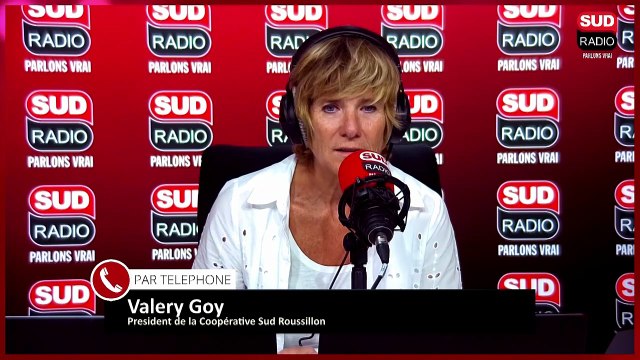 Tomates et Concombres : les légumes stars de l’été