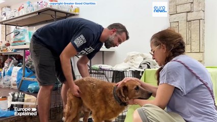 Latest news bulletin | August 21st, 2025 – Midday