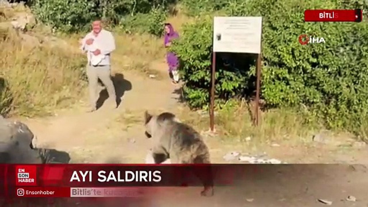 Bitlis’te kucağında bebekle ayı saldırısına uğradı