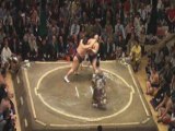 16 Mai '08 - Natsu basho - J06 - Kotomitsuki - Miyabiyama