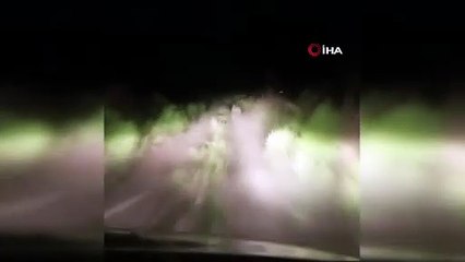 Vatandaşlar köye inen vatandaşlar ayıyı  böyle kovaladı
