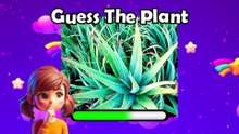 🌿 Can You Guess These Plants? | Ultimate Plant Quiz 2025