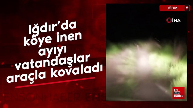 Iğdır’da köye inen ayıyı vatandaşlar araçla kovaladı