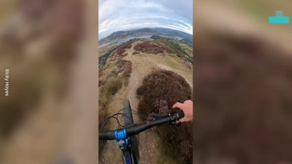 Cyclist Gets Taken Out by Sheep Vid