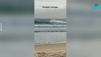Surfers Collide in Dramatic Snap at Snapper Rocks