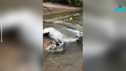 Horse Takes Surprise Dip Mid-ride