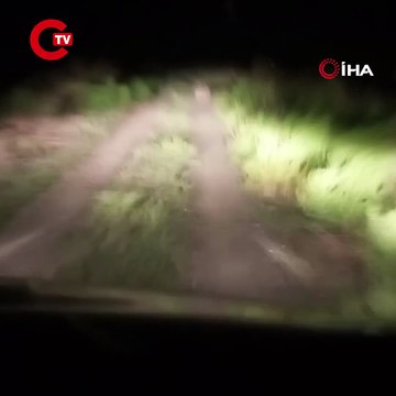 Ayı köye indiğine pişman oldu! Köylüler ayıyı böyle kovaladı