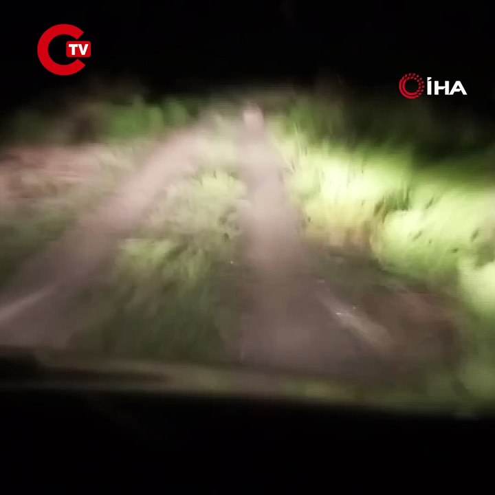 Ayı köye indiğine pişman oldu! Köylüler ayıyı böyle kovaladı