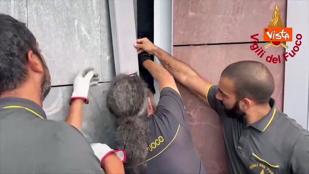 Gattino intrappolato al centro commerciale di Montano Lucino salvato dai Vigili del Fuoco