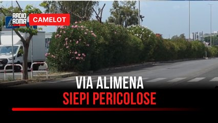 Romanina siepi pericolose per i pedoni in via Alimena