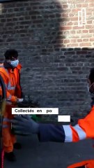 Que deviennent vos déchets végétaux ?