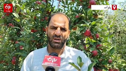 سیبوں کے لئے جدید گریڈنگ لائنز، کشمیر کے کسان پُر امید