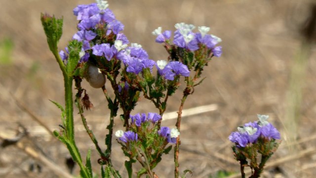 Paphos Cyprus May 2025