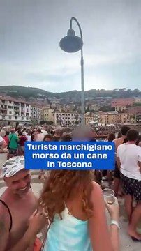 Turista marchigiano morso da un cane in Toscana: video