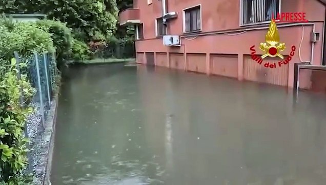 Maltempo in Veneto, allagamenti e alberi caduti in provincia di Padova