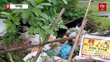 दाव्यात किती तथ्य? पाहण्यासाठी न्यायमूर्तींनी नागपुरातील सार्वजनिक विहिरींची केली पाहणी