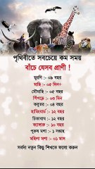 পৃথিবীতে সবচেয়ে কম সময় বাজে যেসব প্রাণী 🤍