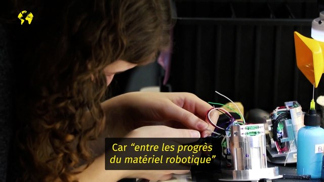 Pourquoi l’avenir des humanoïdes dépend des lave-vaisselles ?