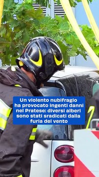 Nubifragio Devastante a Prato e Montemurlo: Danni Ingenti e Alberi Sradicati