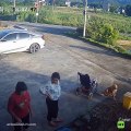 VIDEO: ¡Por charlar! Carrito de bebé cae a un estanque en un tremendo descuido de la abuela