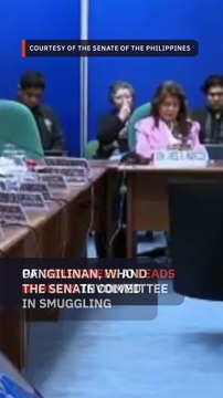 Pangilinan wants consignees, brokers of smuggled goods blacklisted