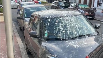 Roadside parking spot turns out to be a trap as car gets coated in bird droppings