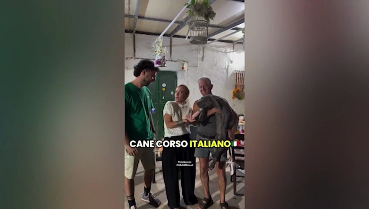 Meloni in vacanza in Puglia, premier visita un allevamento di cani corsi