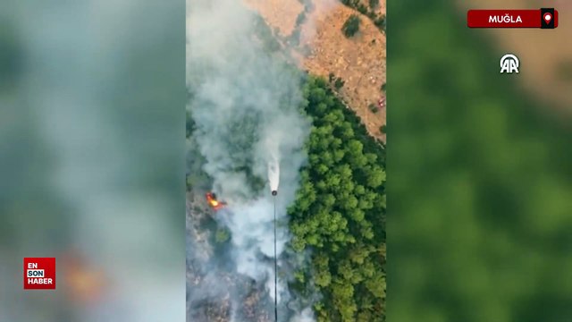 Muğla Seydikemer ilçesinde ormanlık alanda yangın çıktı