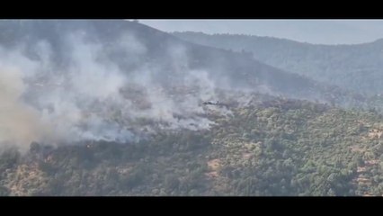 Así actúan contra el fuego de Extremadura los BlackHawk que ha España ha traído de Chequia y Eslovaquia