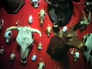 The Texas Chainsaw Massacre: A Family Portrait | movie | 1988 | Official Trailer