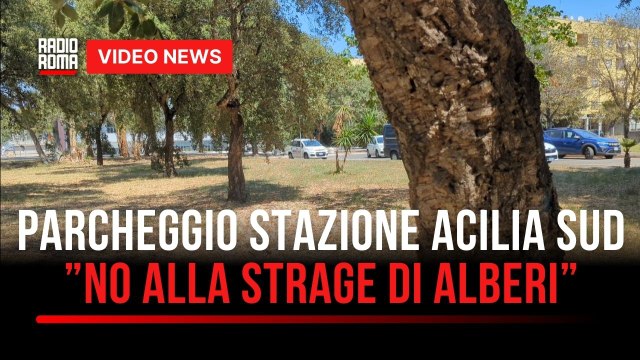 Acilia Sud-Dragona, alberi a rischio per nuovo parcheggio stazione: No alla strage, ci sono alternative (VIDEO)