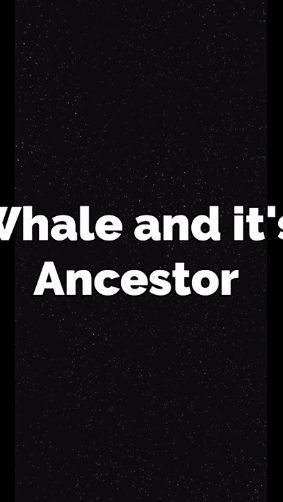 Animals and their ancestors