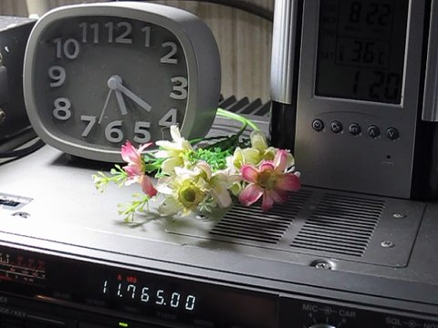 Voice of Turkey 11765 kHz 22th Aug. 2025 01:22 JST