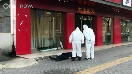 Decoding COVID-19 | movie | 2020 | Official Teaser