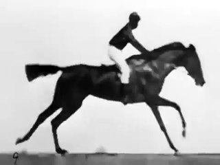 The Horse in Motion | movie | 1878 | Official Trailer