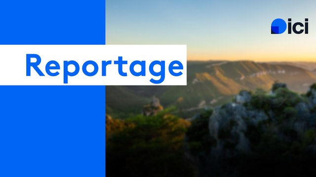 VIDEO - Sauvons les abeilles gardoises !