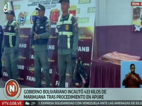 Órganos de seguridad incautaron 433 kilos de sustancias estupefacientes en Apure