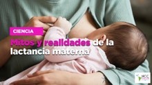 Mitos y realidades de la lactancia materna