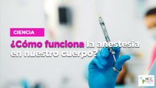 ¿Cómo funciona la anestesia en nuestro cuerpo?