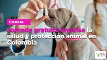 Jornada gratuita impulsa la salud y protección animal en Colombia